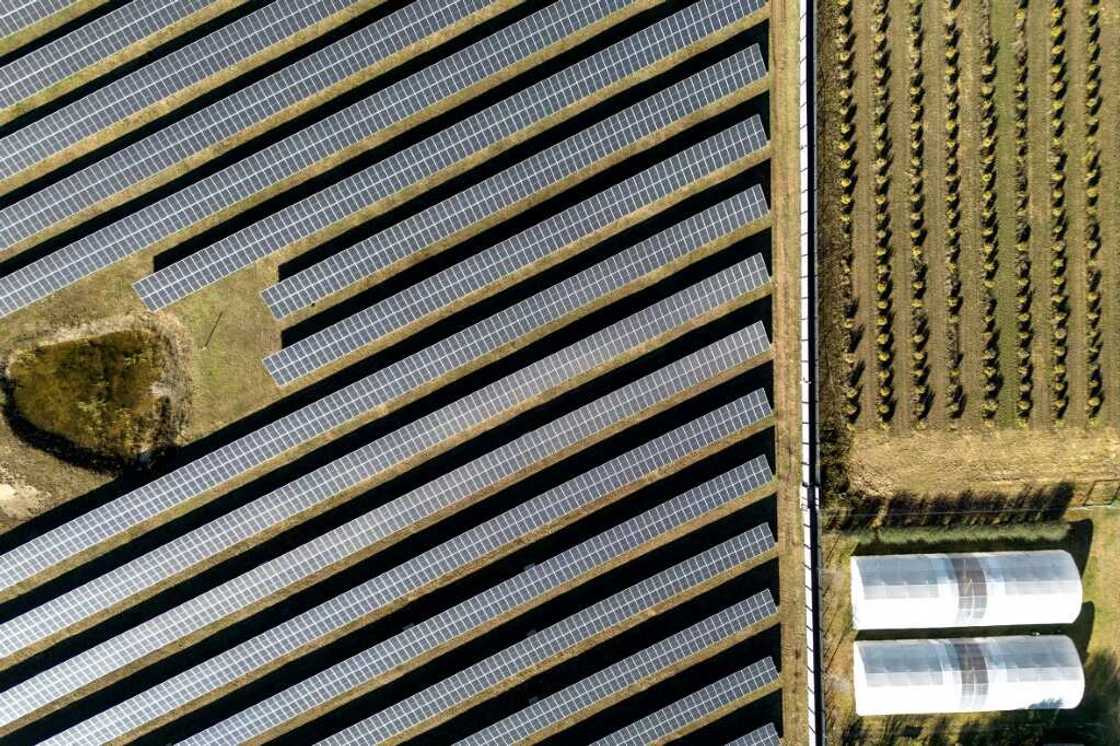 Residents in the South African town of Frankfort have invested heavily in solar energy -- but a court ruling has forced them to abide by power cuts imposed by electricity monopoly Eskom Residents in the South African town of Frankfort have invested heavily in solar energy -- but a court ruling has forced them to abide by power cuts imposed by electricity monopoly Eskom