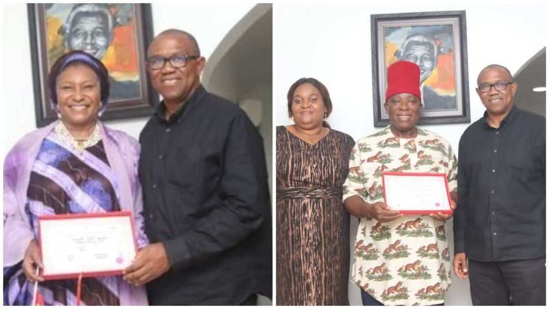 Peter Obi, Ireti Kingibe, Labour Party, INEC, 2023 general election Peter Obi, Ireti Kingibe, Labour Party, INEC, 2023 general election