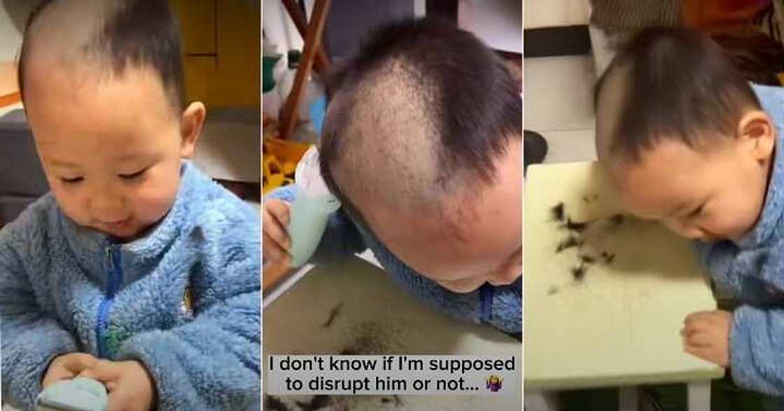 Toddler gives himself a haircut