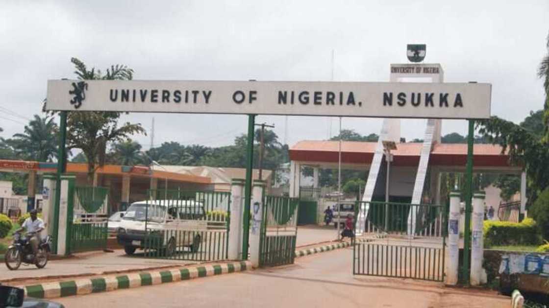 University Rankings by Subject 2023/Nigerian Universities Ranked Among World's Best/UNN/UI/OAU University Rankings by Subject 2023/Nigerian Universities Ranked Among World's Best/UNN/UI/OAU