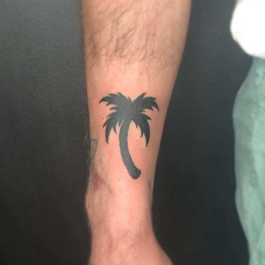 palm tree tattoo design palm tree tattoo design