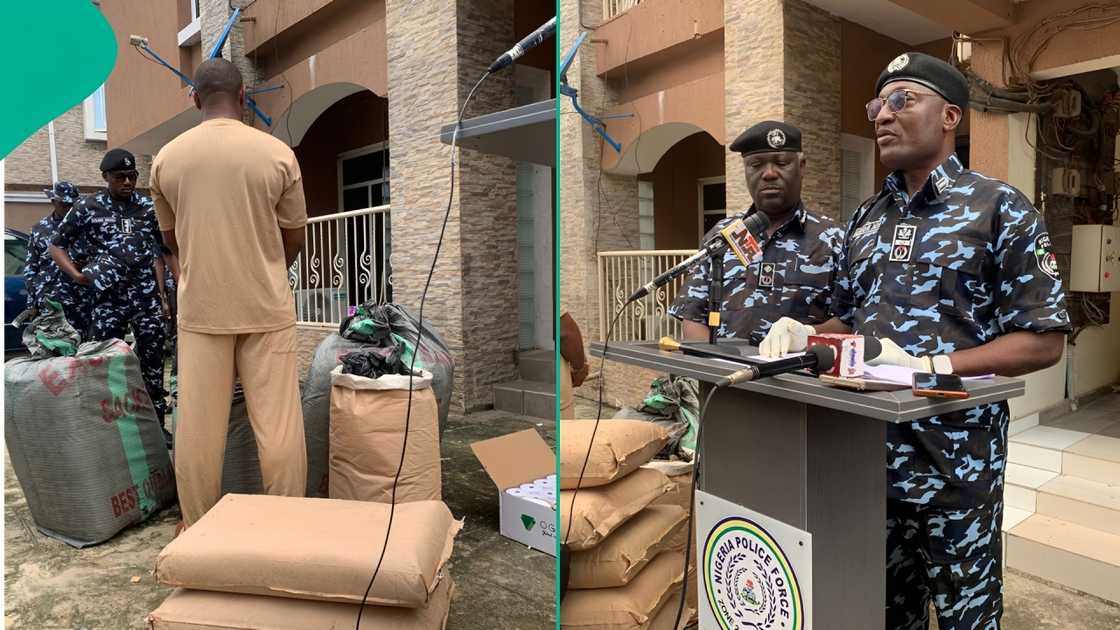Lagos drug bust, POS paper business arrest, AIG Moshood Jimoh press briefing, Canadian Loud seizure Nigeria, Zone 2 Police Command Lagos, illicit drug Lagos, Maryland Lagos drug raid