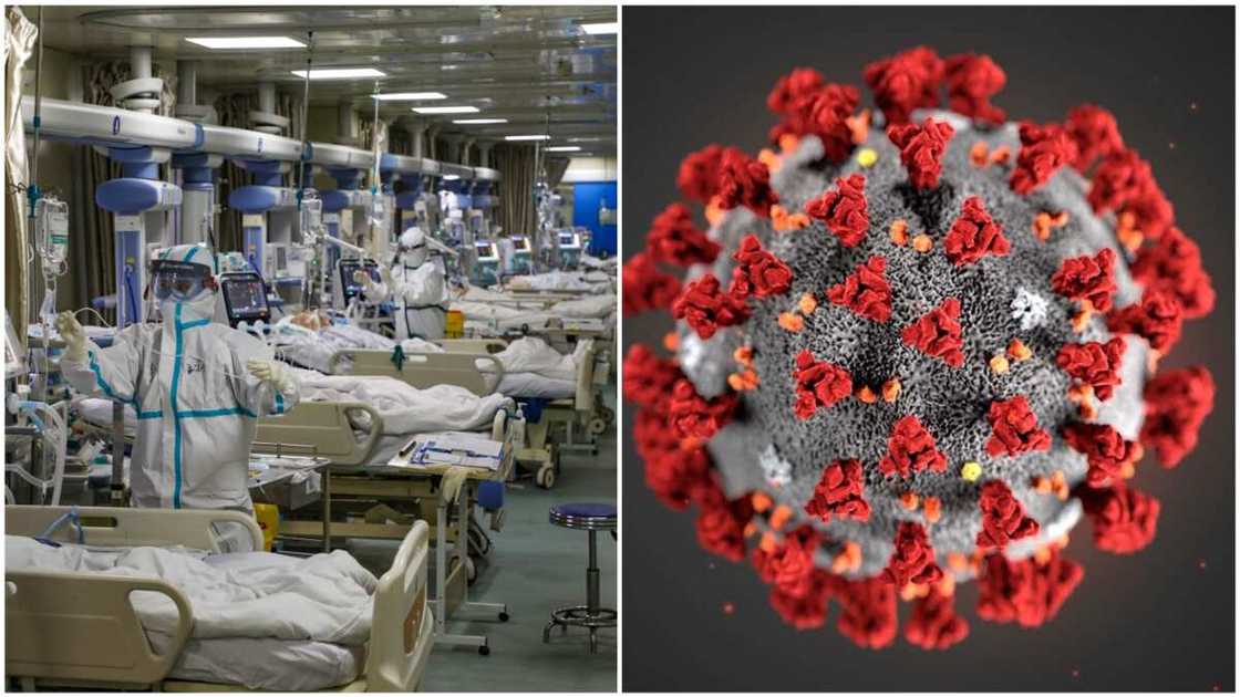 An gano wani sabon lahani da cutar Coronavirus ke yi wa jikin dan Adam An gano wani sabon lahani da cutar Coronavirus ke yi wa jikin dan Adam