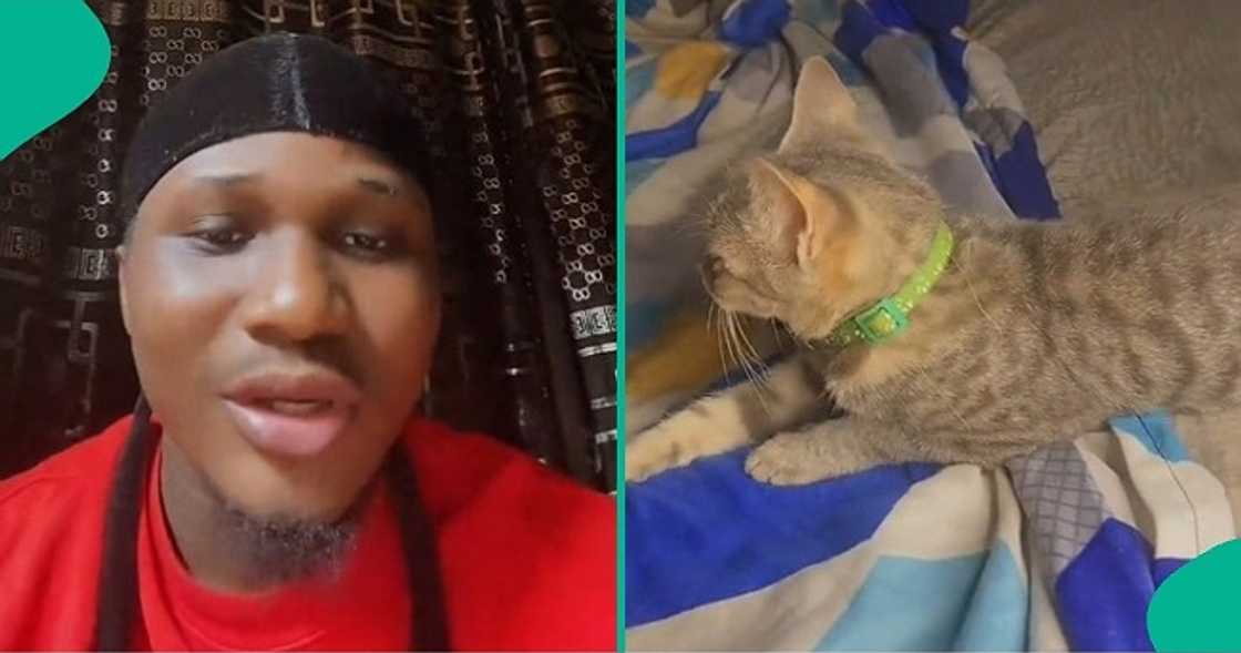Nigerian man who was visited by orange cat shares experience Nigerian man who was visited by orange cat shares experience