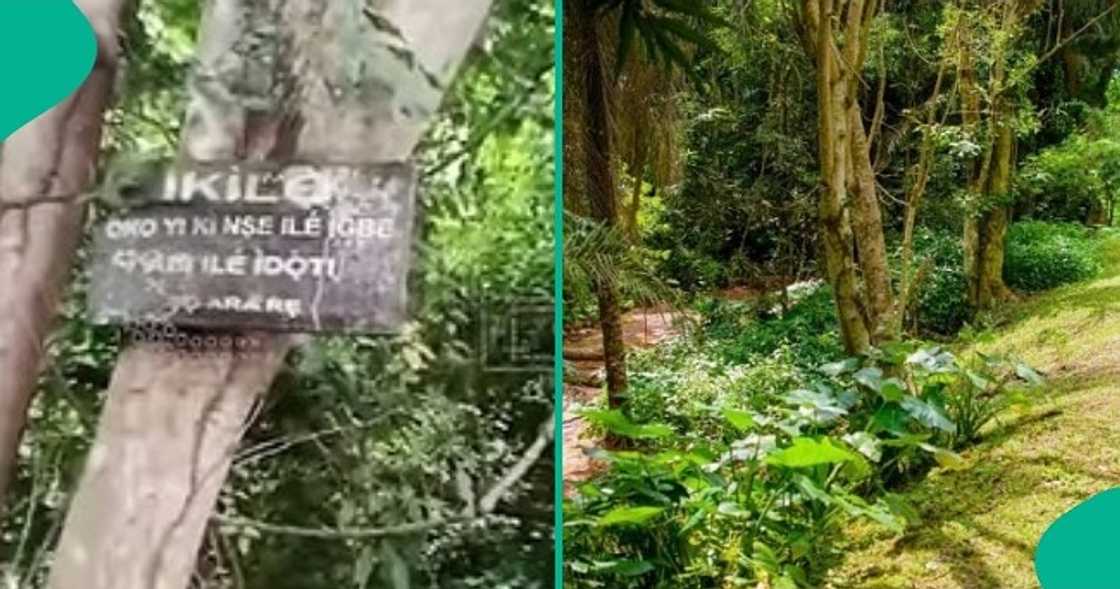 Journalist who captures the warnings written on boards at Wole Soyinka's forest home in Ijegba. Journalist who captures the warnings written on boards at Wole Soyinka's forest home in Ijegba.