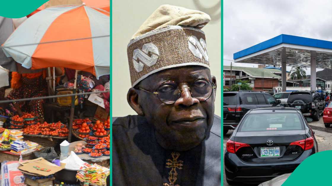 List of items whose prices went up under President Tinubu List of items whose prices went up under President Tinubu