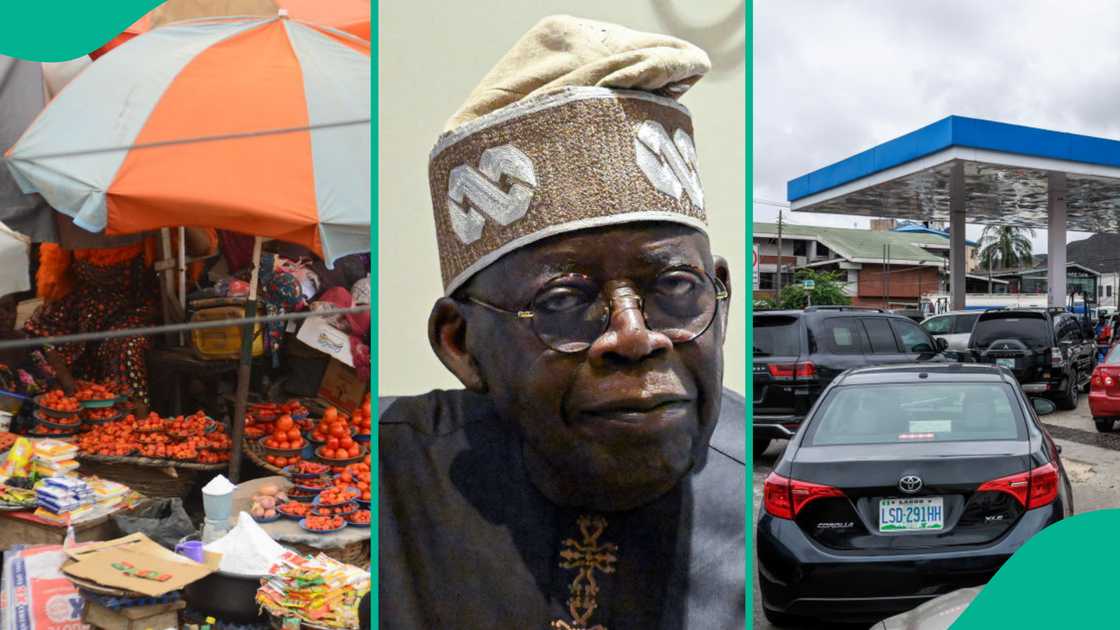 List of items whose prices went up under President Tinubu