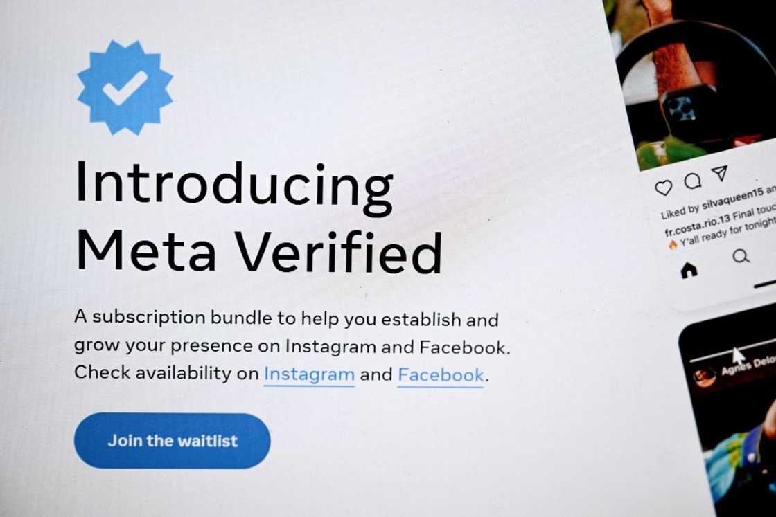 Meta verification Meta verification