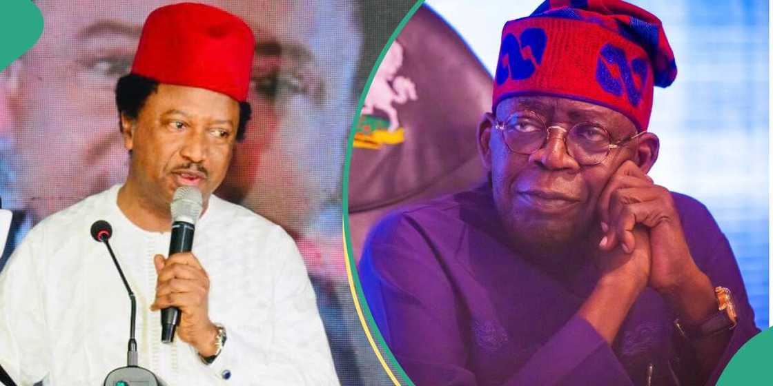 Shehu Sani/Bola Tinubu/Ministerial List Shehu Sani/Bola Tinubu/Ministerial List