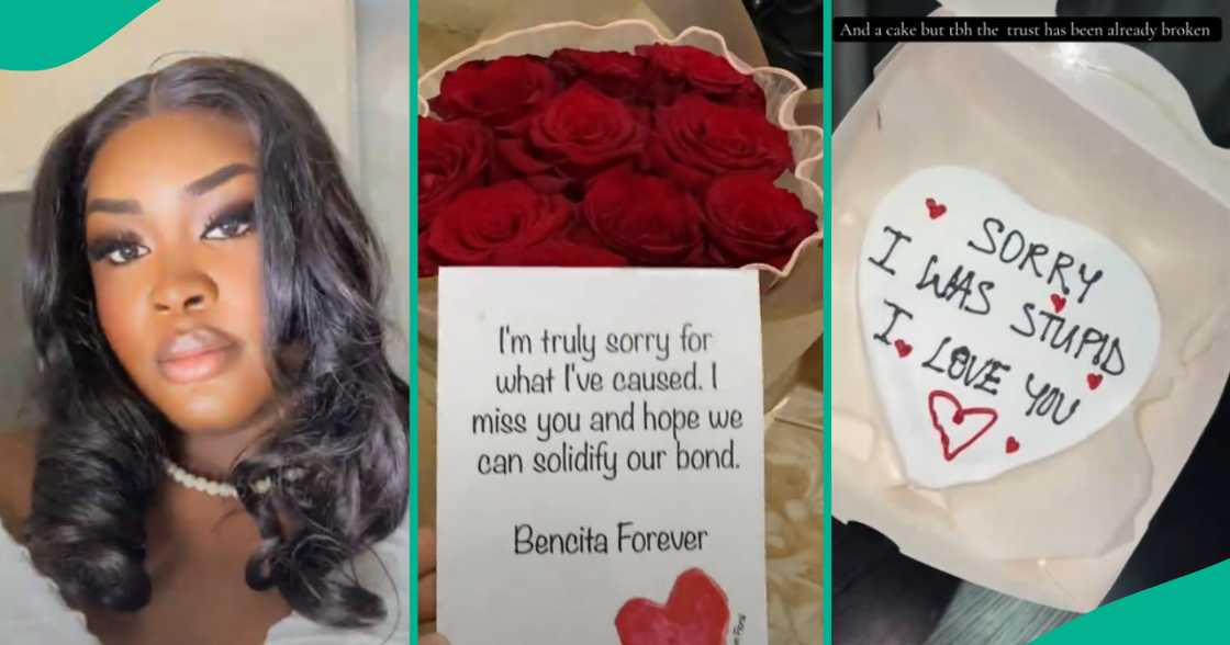 Lady shows the apology letter her cheating boyfriend sent to her through email, people argue he must have used ChatGPT Lady shows the apology letter her cheating boyfriend sent to her through email, people argue he must have used ChatGPT