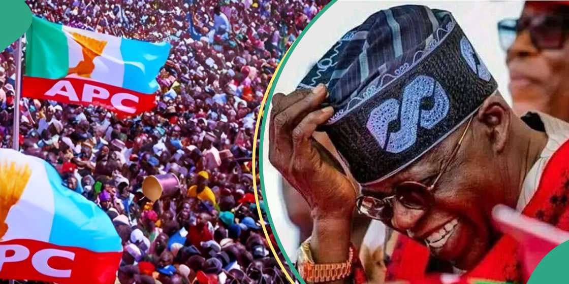 Tinubu gains support from North Central region Tinubu gains support from North Central region