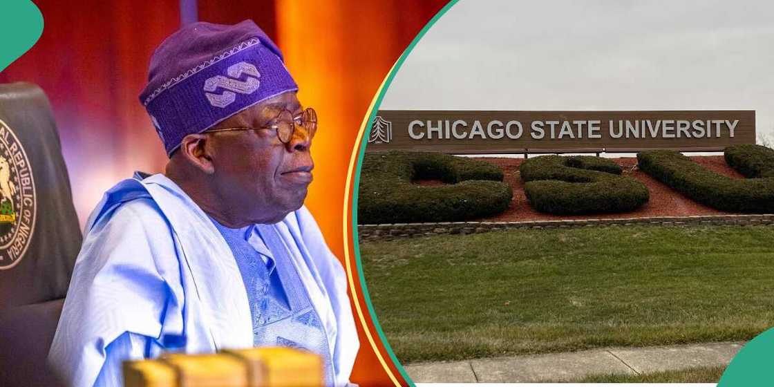 Tinubu/Latest about Bola Tinubu/Chicago State University Tinubu/Latest about Bola Tinubu/Chicago State University