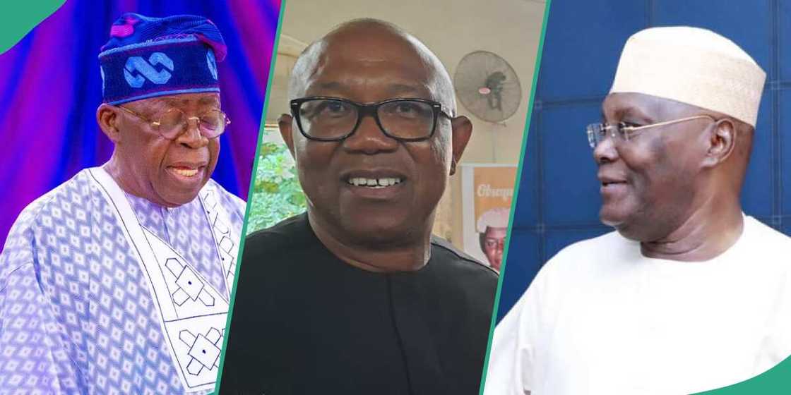 Tribunal/Tribunal update/Bola Tinubu/Bola Tinubu news/latest about Bola Tinubu Tribunal/Tribunal update/Bola Tinubu/Bola Tinubu news/latest about Bola Tinubu