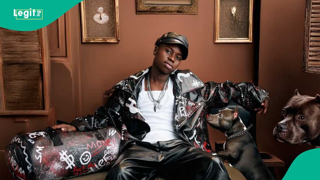 Peller involved in accident, clip of crash trends Peller involved in accident, clip of crash trends