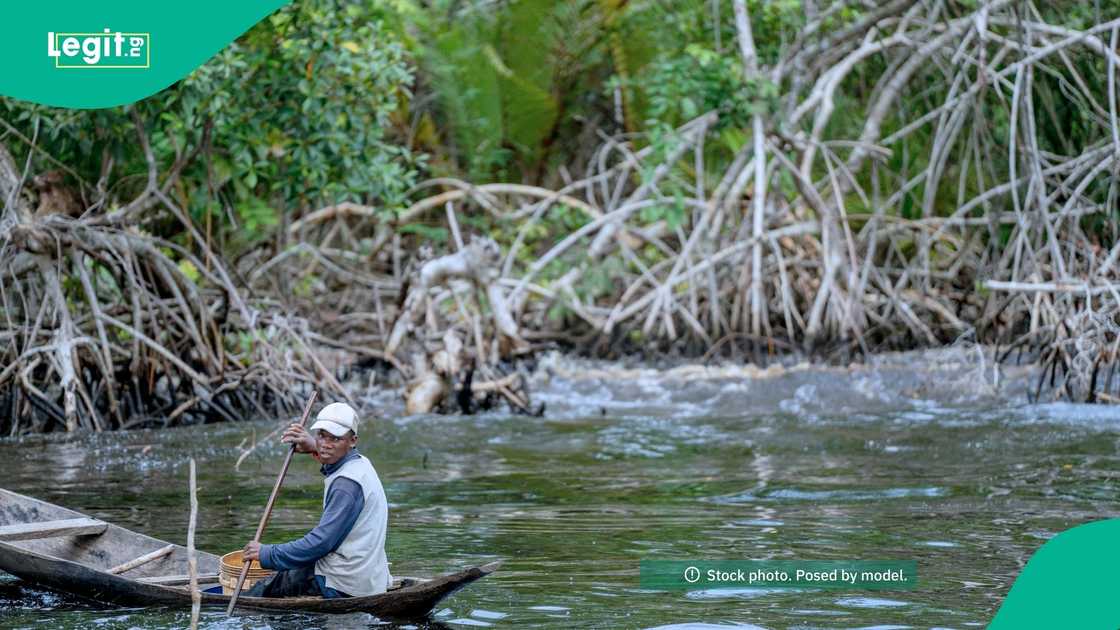 Cousins drown in Oyo River; family narrates failed rescue and river’s hidden depths Cousins drown in Oyo River; family narrates failed rescue and river’s hidden depths