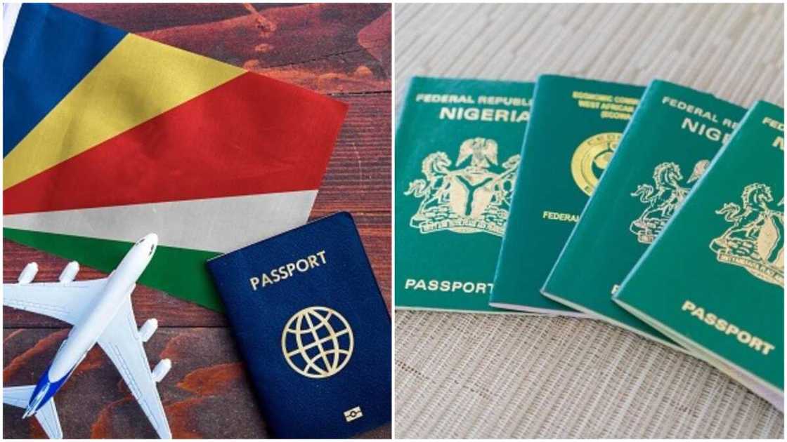 Where Nigeria Stands List Of Countries With Top 10 Most Powerful Passports In Africa In 2022 2619