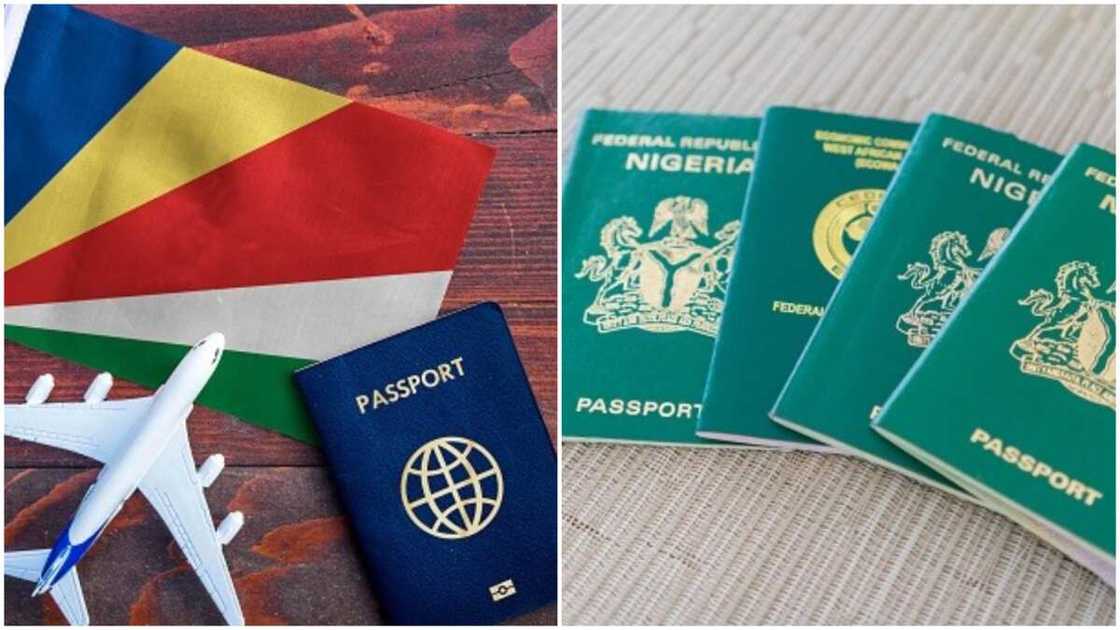 Seychelles Tops List of Most Powerful Passports in Africa in 2022, Nigeria Missing Seychelles Tops List of Most Powerful Passports in Africa in 2022, Nigeria Missing