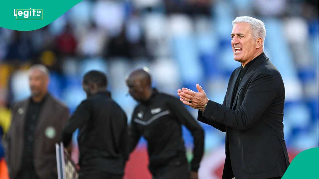 Vladimir Petkovic, Desert Foxes, Algeria, AFCON 2025, Morocco. Vladimir Petkovic, Desert Foxes, Algeria, AFCON 2025, Morocco.