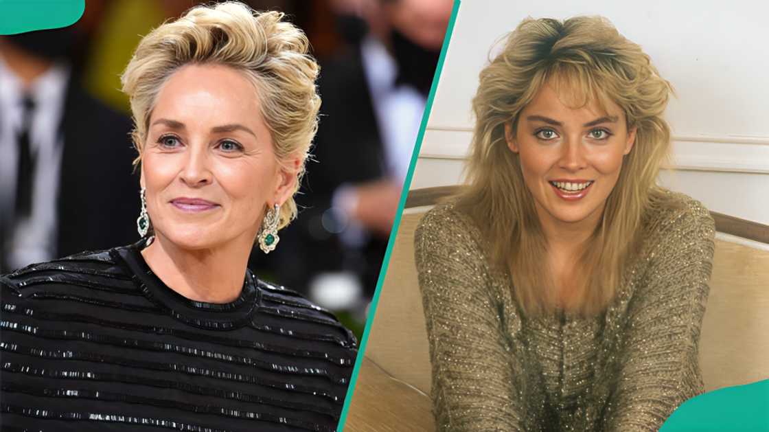 Sharon Stone smiling for the camera Sharon Stone smiling for the camera