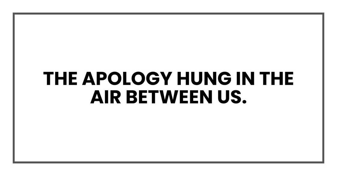 The apology hung in the air between us. The apology hung in the air between us.