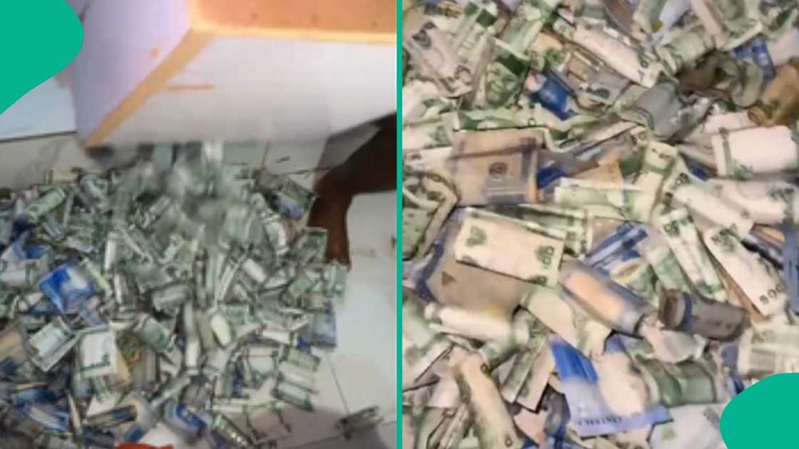 Huge cash saved by a Nigerian lady goes viral online. Huge cash saved by a Nigerian lady goes viral online.