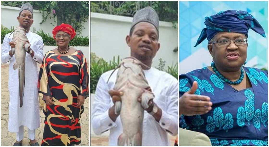 Dr Ngozi Okonjo Iweala and Ahmed Sani Nnaji who is holding a big cat fish. Dr Ngozi Okonjo Iweala and Ahmed Sani Nnaji who is holding a big cat fish.