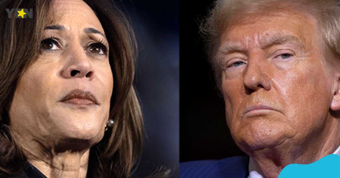 US election 2024: How Americans elect their president as candidate with highest vote may not win US election 2024: How Americans elect their president as candidate with highest vote may not win