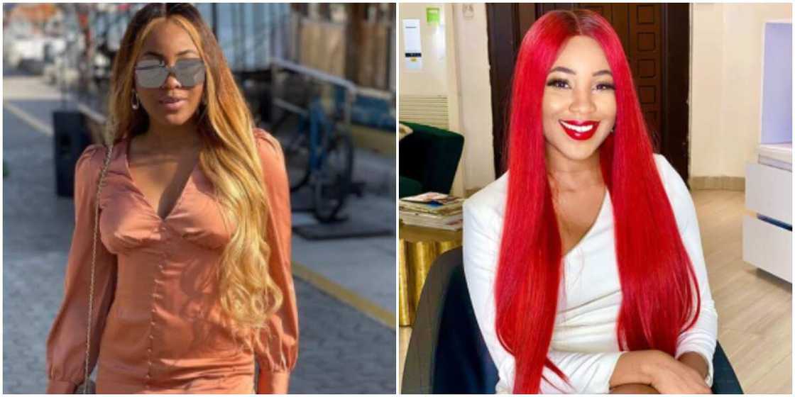 BBNaija's Erica excited as she hits 500k followers on Twitter BBNaija's Erica excited as she hits 500k followers on Twitter
