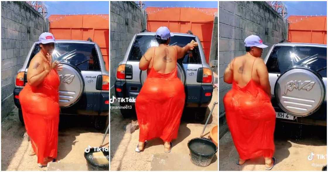 Very curvy lady dances with her waist, very curvy lady shakes her waist Very curvy lady dances with her waist, very curvy lady shakes her waist