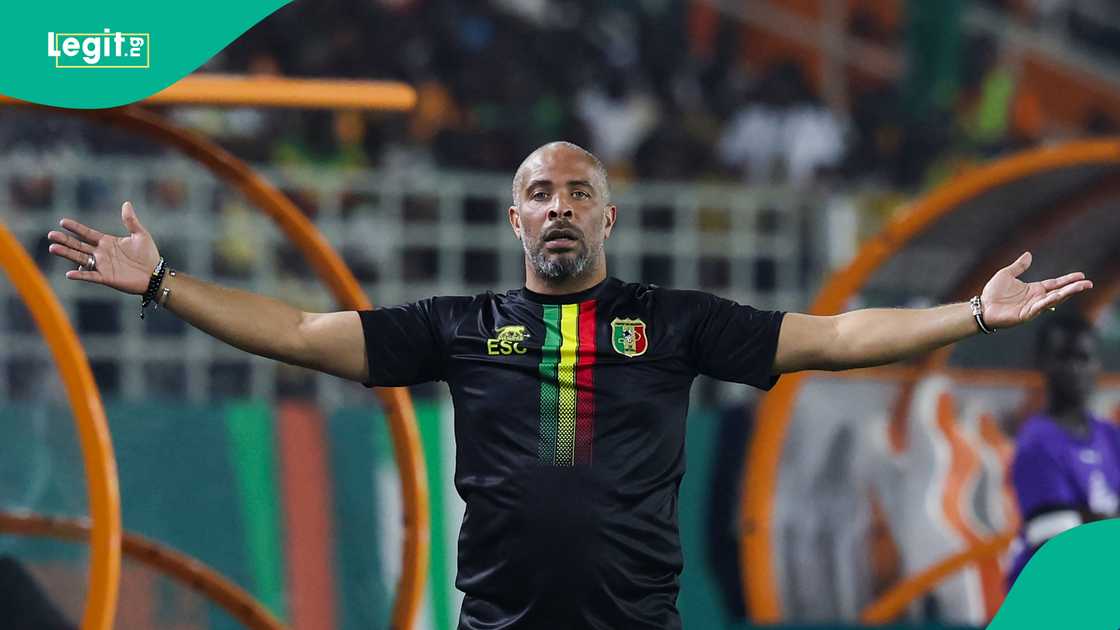 Eric Chelle, Super Eagles, World Cup qualifiers, Finidi George Eric Chelle, Super Eagles, World Cup qualifiers, Finidi George