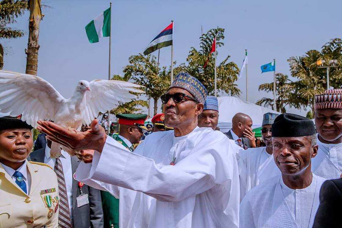 Abaribe's new bill: Ex-serviceman writes open letter to Buhari (Opinion) Abaribe's new bill: Ex-serviceman writes open letter to Buhari (Opinion)