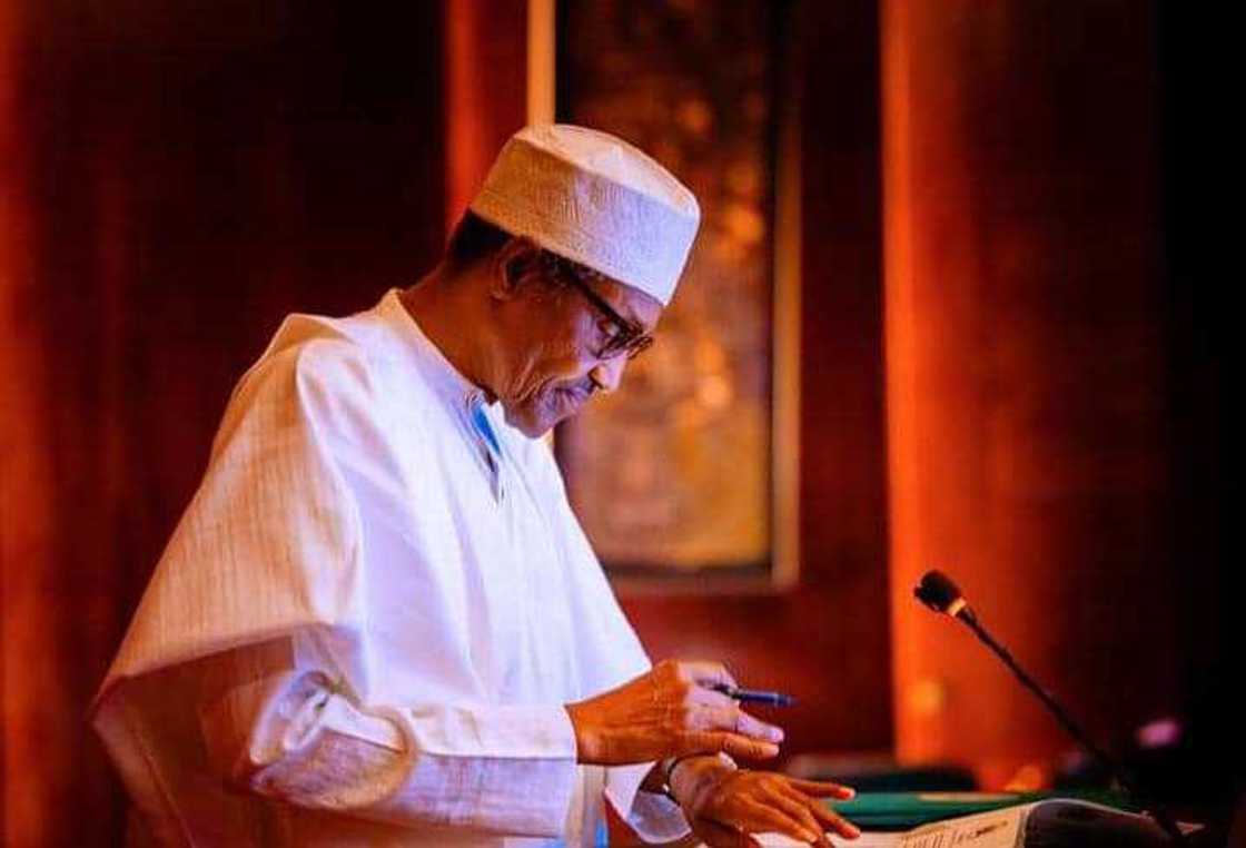 Baba Buhari Baba Buhari