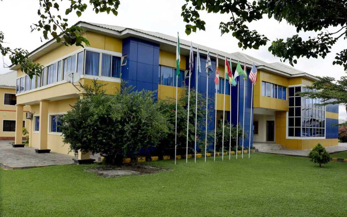 best schools in Nigeria best schools in Nigeria