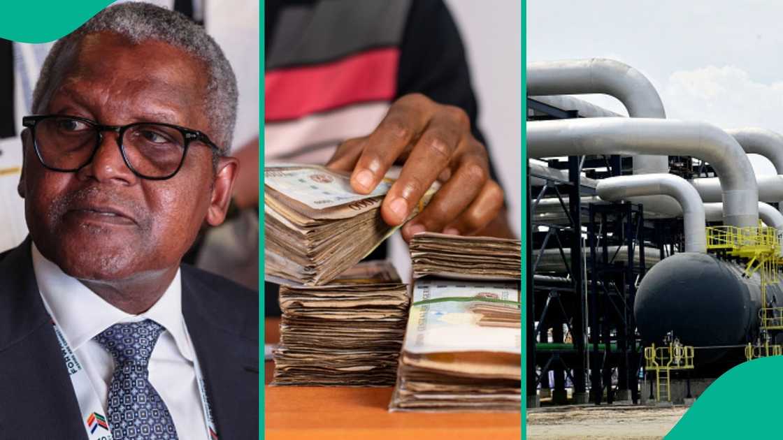 Dangote Dangote