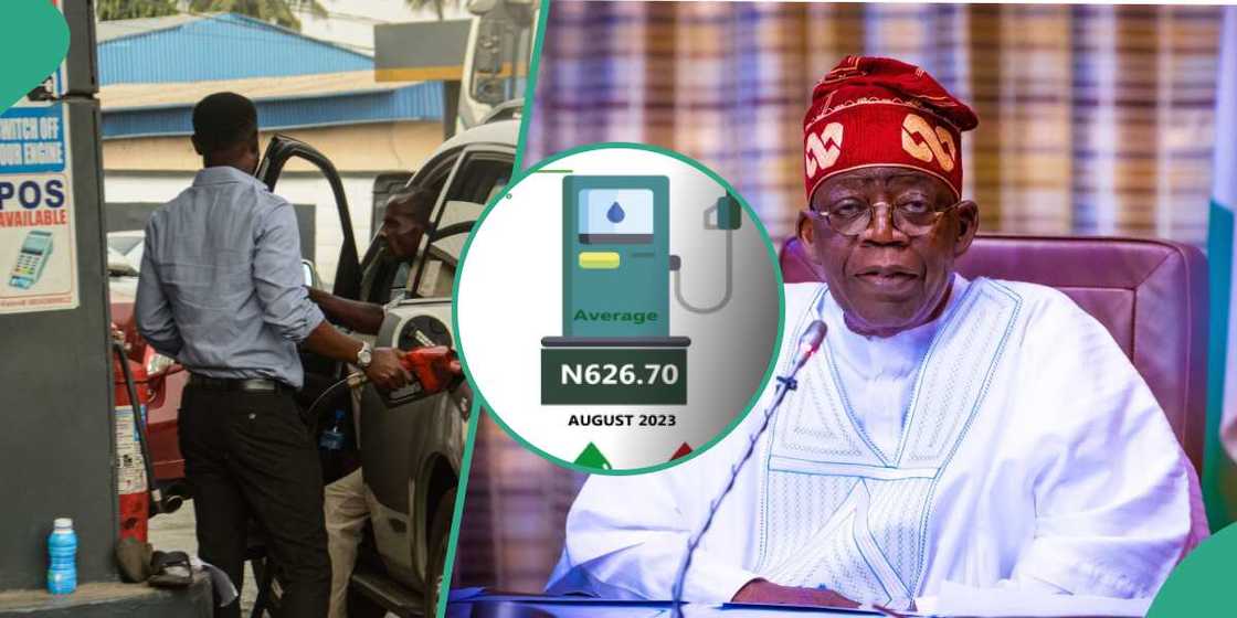 Tallafin man fetur Tallafin man fetur