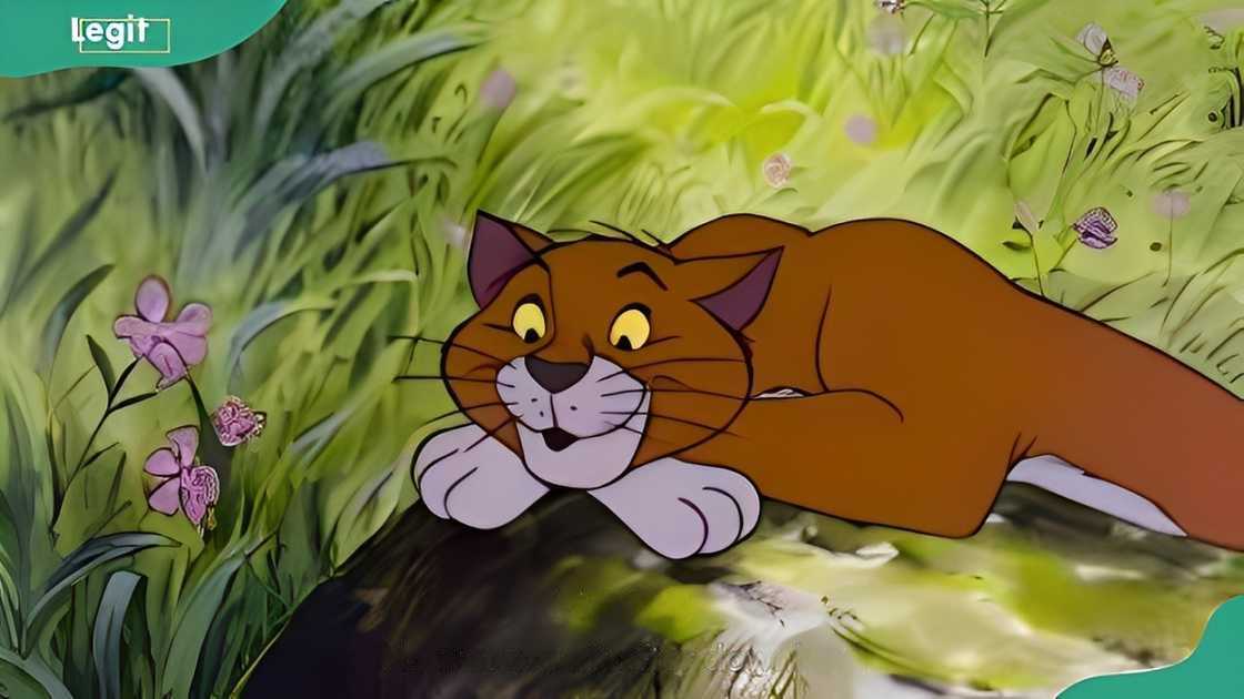 Thomas O’Malley Thomas O’Malley