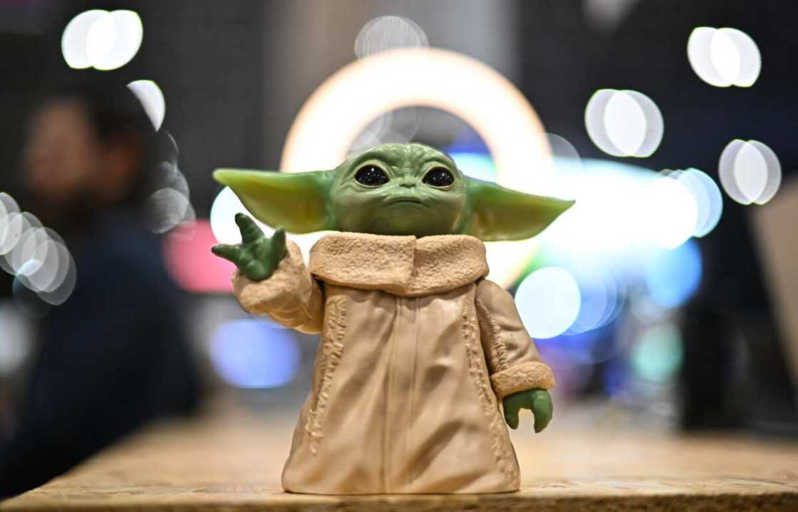 Yoda is pictured at the Startup booths during day three of Web Summit Rio at Riocentro in Rio de Janeiro Yoda is pictured at the Startup booths during day three of Web Summit Rio at Riocentro in Rio de Janeiro