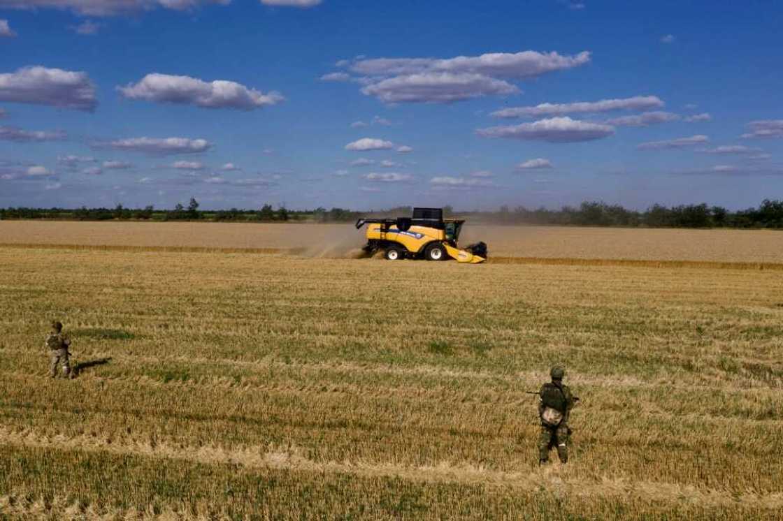 The conflict sparked fears of famine in poorer countries reliant on agricultural goods from Ukraine and Russia, two nations that were responsible for nearly a third of global wheat exports last year The conflict sparked fears of famine in poorer countries reliant on agricultural goods from Ukraine and Russia, two nations that were responsible for nearly a third of global wheat exports last year