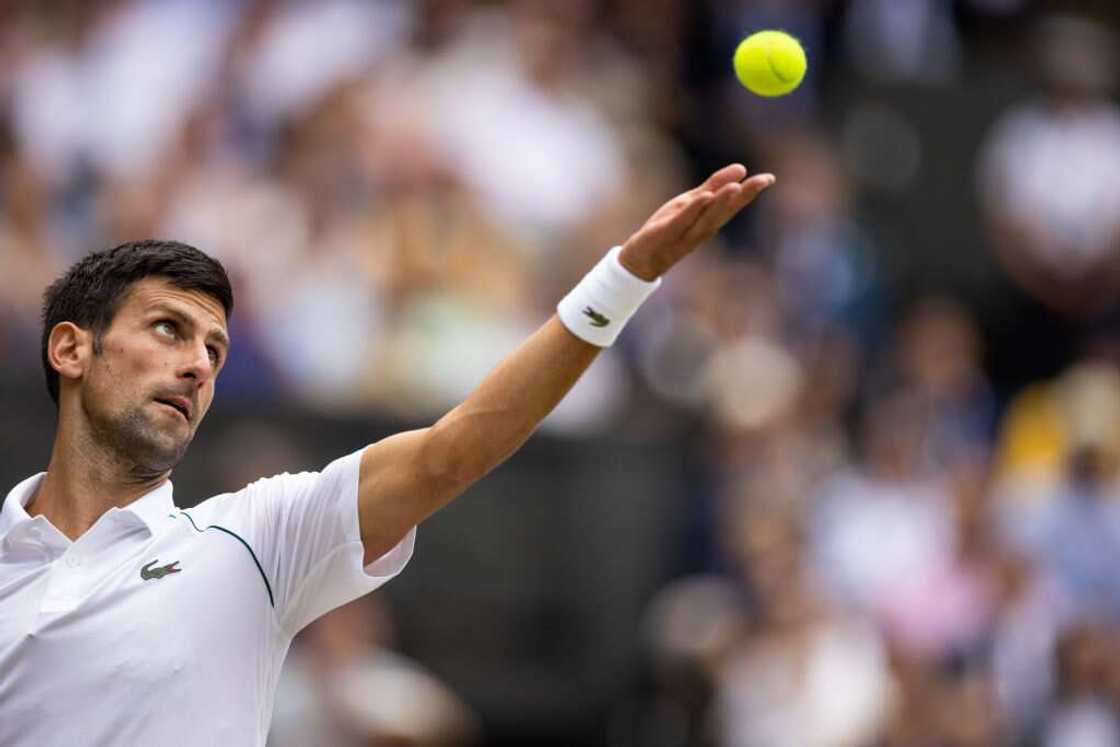 Novak Djokovic, immense champion de tennis Novak Djokovic, immense champion de tennis