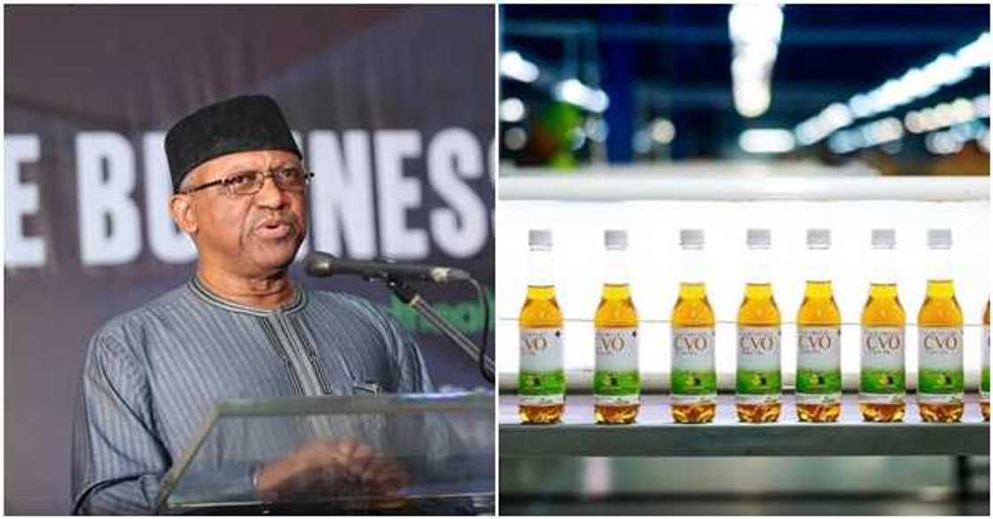 FG says Madagascar herb can’t cure COVID-19 FG says Madagascar herb can’t cure COVID-19