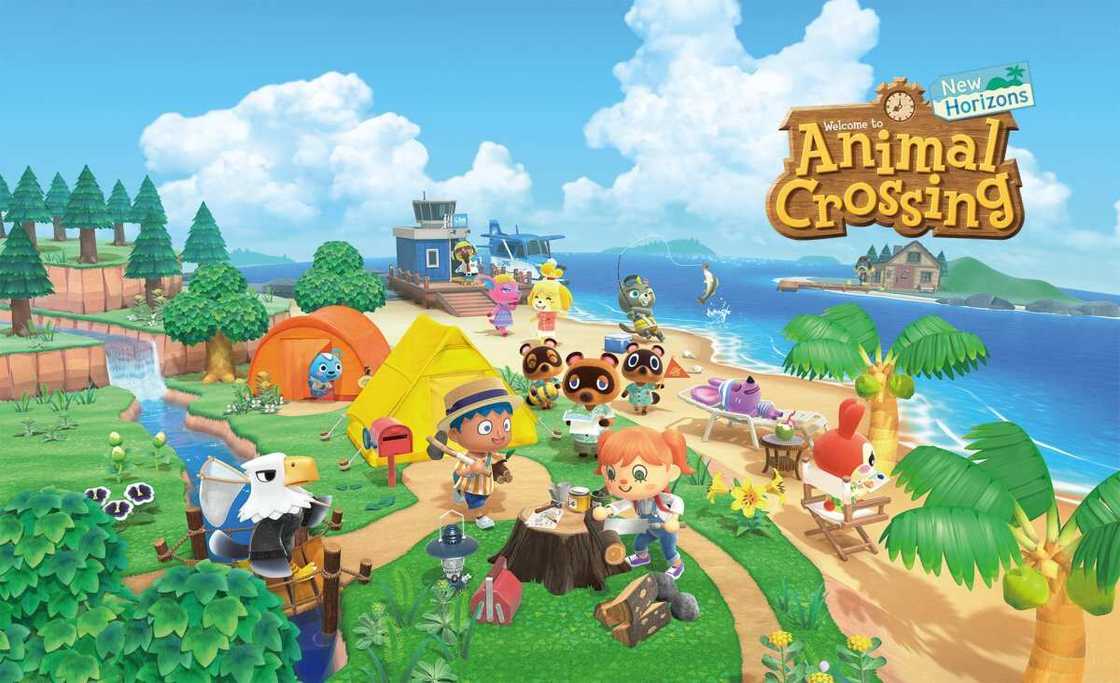 Animal Crossing island names