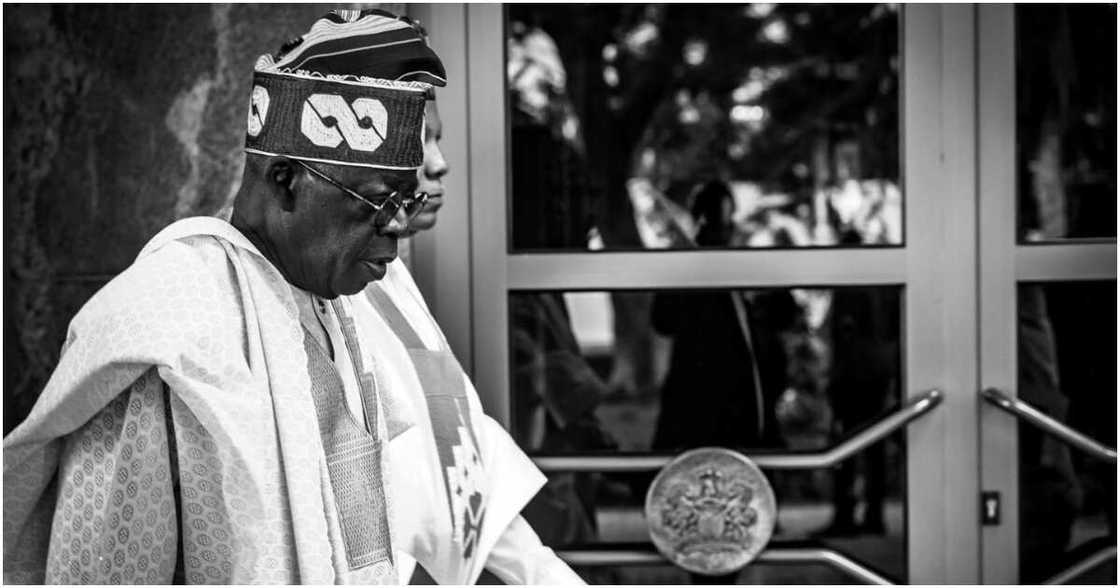 Bola Tinubu, FG, fuel subsidy removal