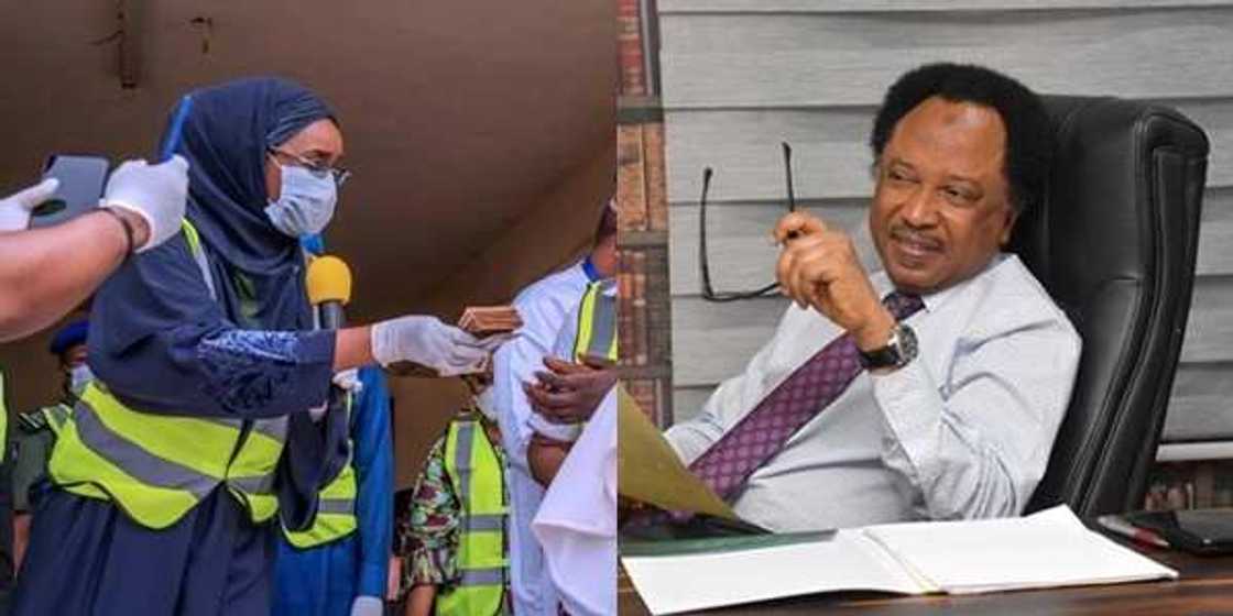 You're now member of SMAN: Shehu Sani mocks FG over N5000 stipend for Nigerians You're now member of SMAN: Shehu Sani mocks FG over N5000 stipend for Nigerians