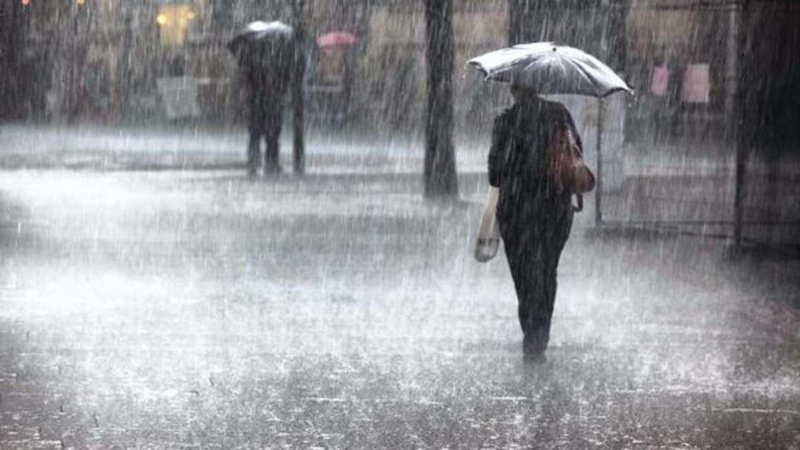 Picture of a woman holding an umbrella inside the rain