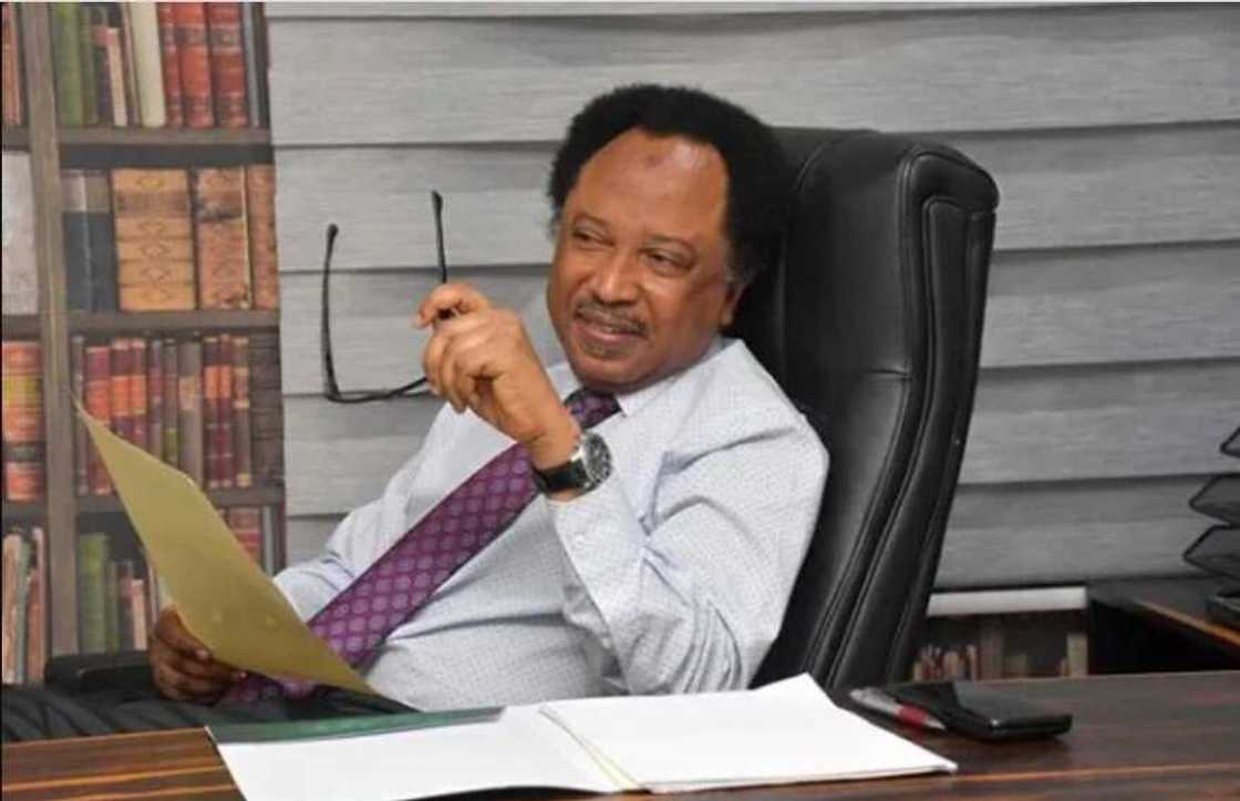 Tsohon sanata a Kaduna, Shehu Sani Tsohon sanata a Kaduna, Shehu Sani