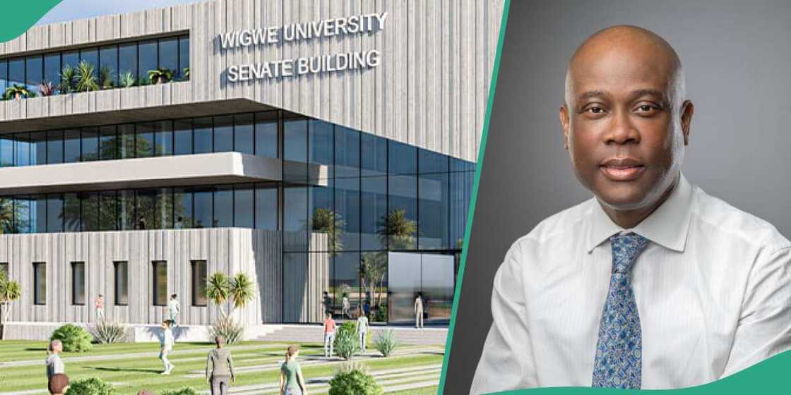 Wigwe university invites Nigerians to apply for job opportunities Wigwe university invites Nigerians to apply for job opportunities
