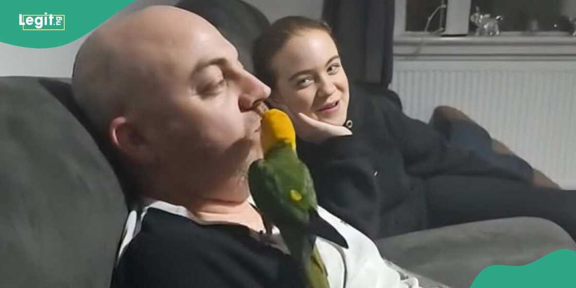 Man receives chips from parrot Man receives chips from parrot