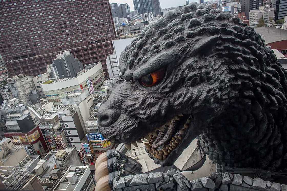 Godzilla vs Kong: monstre, singe, qui sont-ils vraiment? Godzilla vs Kong: monstre, singe, qui sont-ils vraiment?