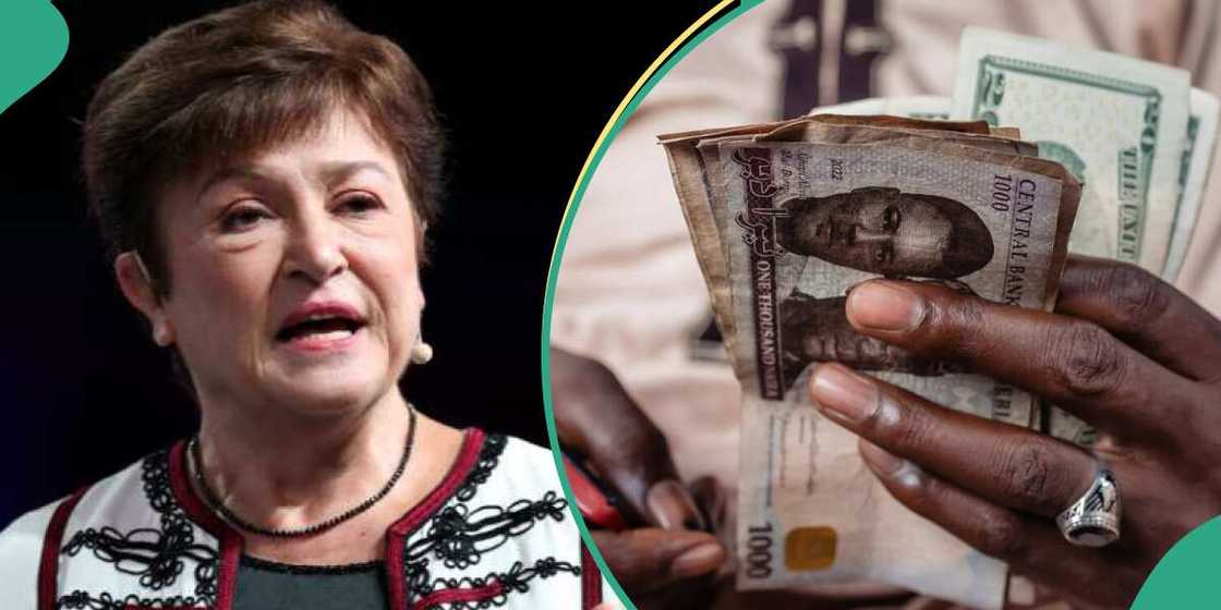 Nigeria clears IMF debt as President Bola Tinubu's government shares more details. Nigeria clears IMF debt as President Bola Tinubu's government shares more details.