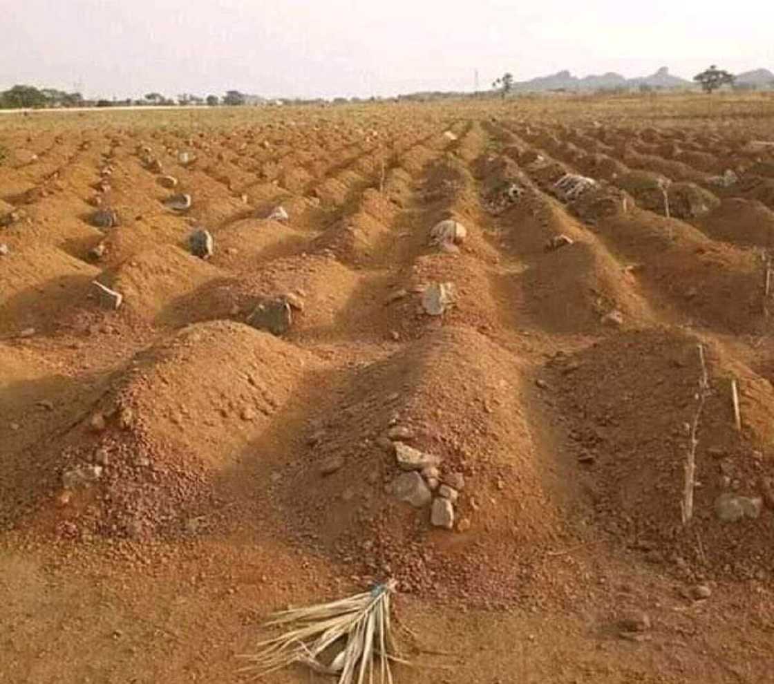 Mace-mace 10 da suka matukar girgiza jihar Katsina a 2020 Mace-mace 10 da suka matukar girgiza jihar Katsina a 2020